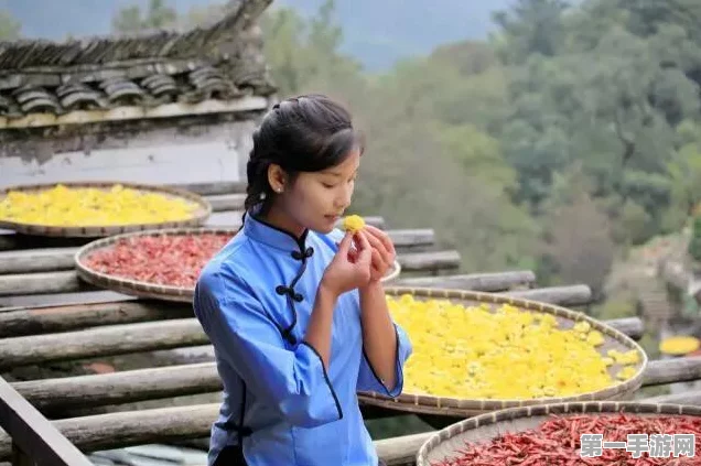 创造与魔法辣椒寻觅指南🌶️