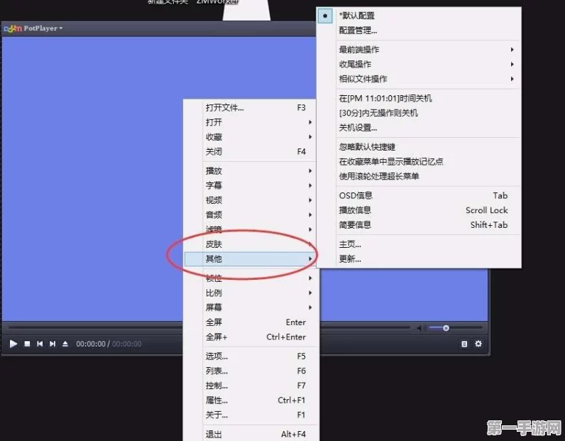 PotPlayer单窗口视频播放设置教程🎬