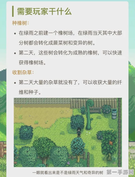 星露谷物语蕨菜大搜罗！全地图探险攻略🌿