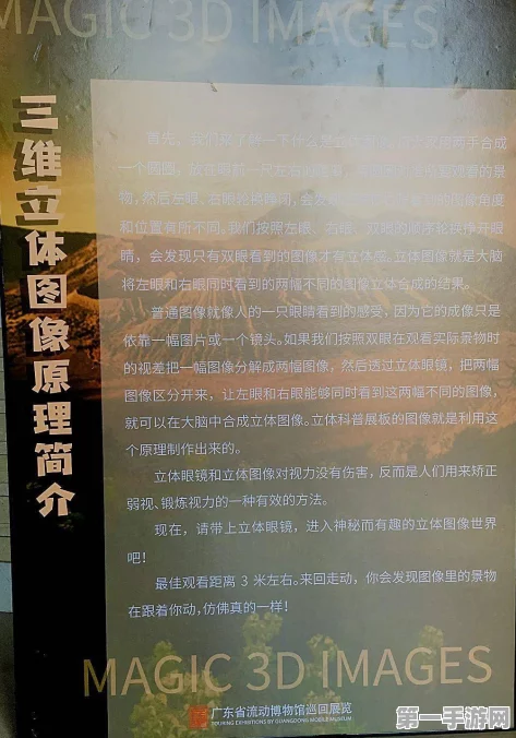 探索三角洲行动，曼德尔砖与三角券的秘密