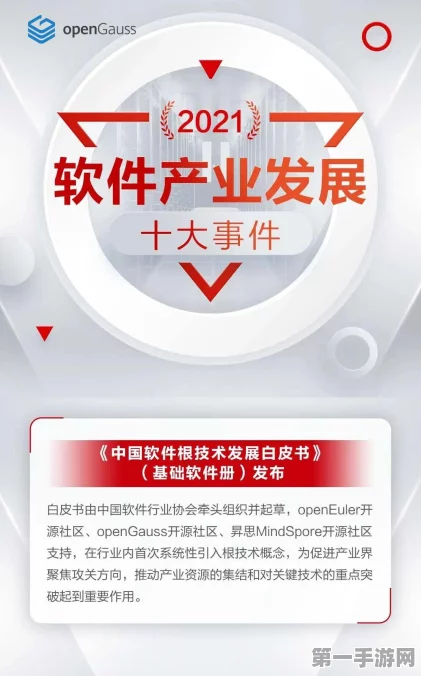 华为openGauss数据库，线下集中式市场占比突破30%🚀