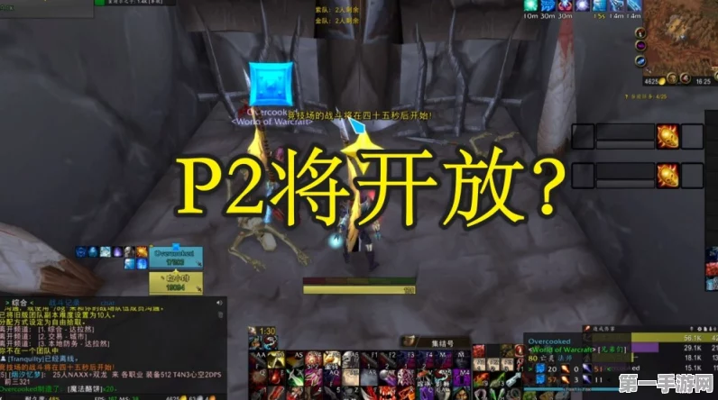 魔兽世界 wlk P2 阶段生存猎顶级装备指南