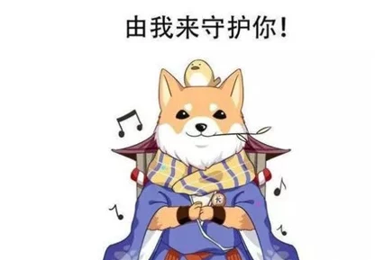 阴阳师揭秘，柴犬守护真相大公开🐾