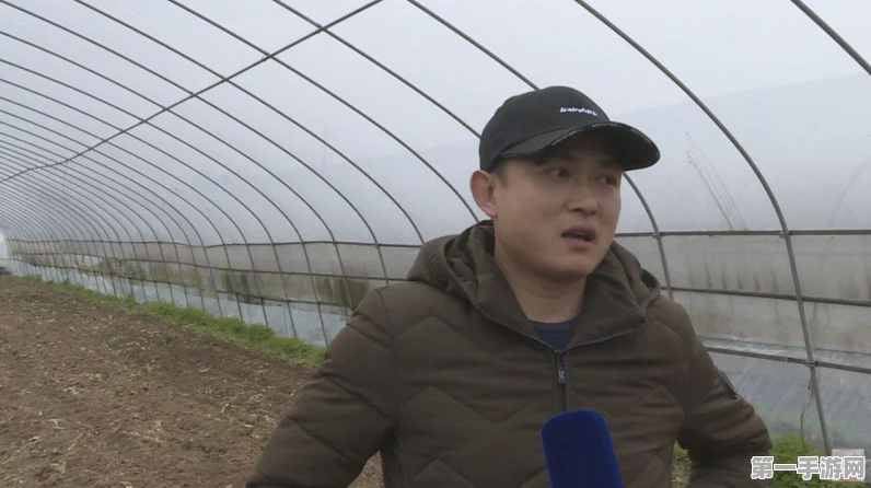 智能化大棚助力农业大丰收，菜篮子满满钱袋子鼓鼓🌱💰