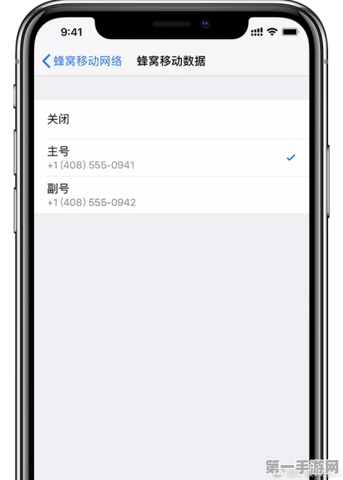 iPhone XS Max双卡短信归属揭秘📱