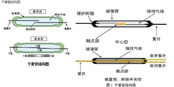 揭秘干簧管，外形、符号与检测技巧全解析🔍