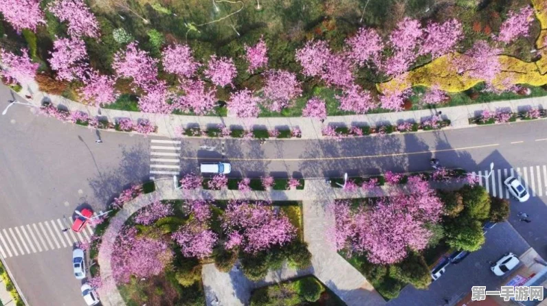 景洪多部门携手迎战极端天气，守护城市安全🌪️