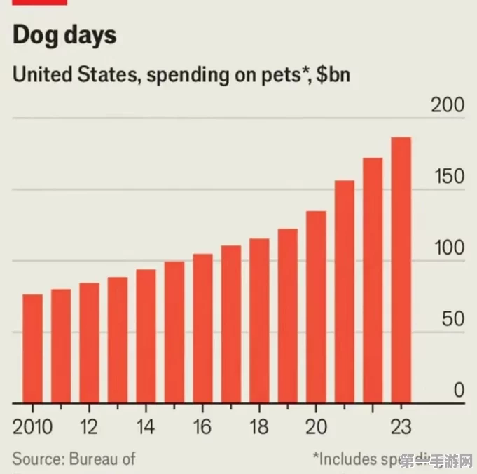 美国宠物经济爆棚，毛孩子撬动千亿级市场🐾
