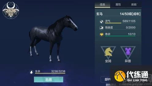 妄想山海玄马进化全攻略🐎