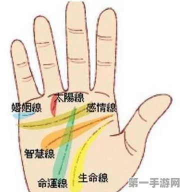 微信刷掌支付新上线！轻松一扫，支付无忧💳