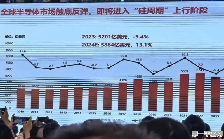 2024国产芯片崛起之路，趋势、前景全解析🚀