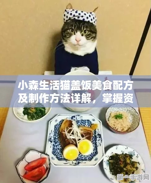 🐱小森生活秘籍，解锁猫盖饭制作全攻略🍲