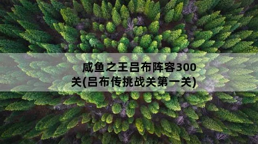 咸鱼之王吕布阵容7300关通关秘籍🔥