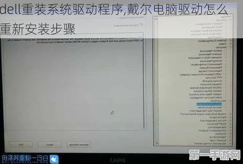 Dell鼠标驱动安装与更新全攻略🔧