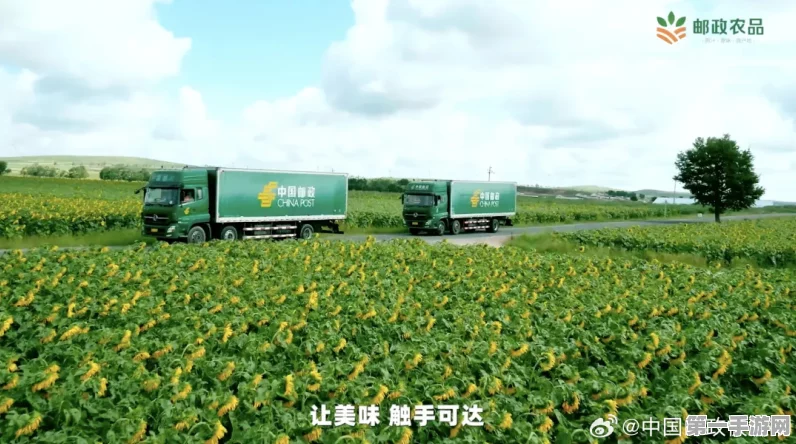 中国邮政助力农产品大卖！超400亿销售额背后的故事🚚💼