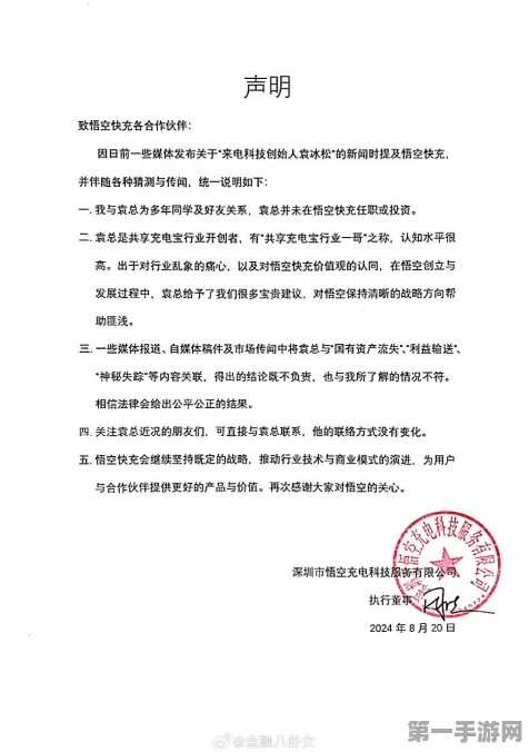 共享充电宝巨头来电创始人袁冰松现身回应，配合调查已完毕，真相即将揭晓🔍