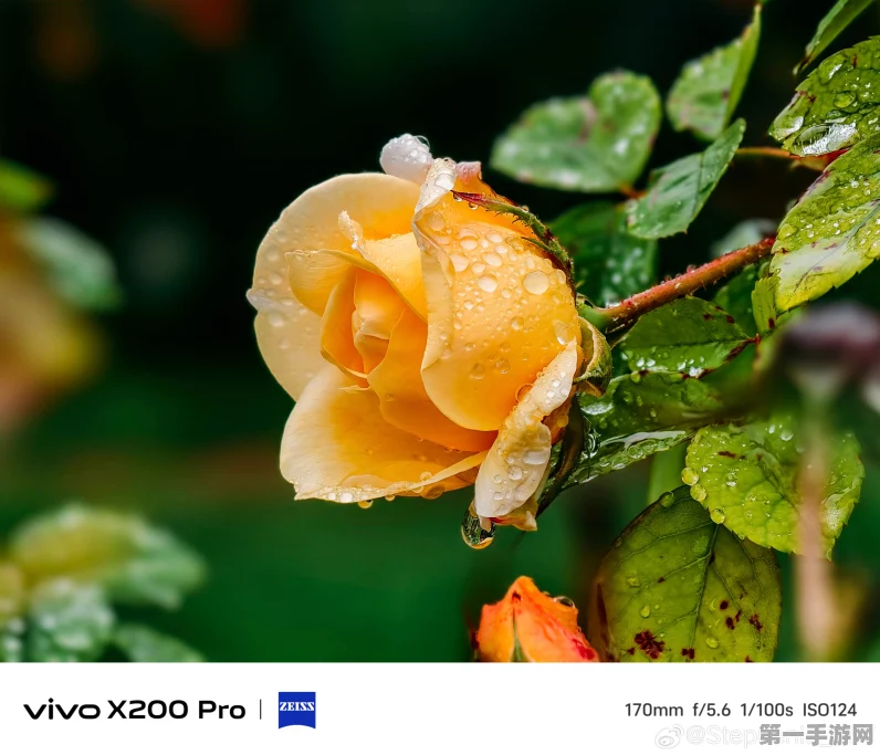 vivo X200 Pro长焦微距大揭秘📸