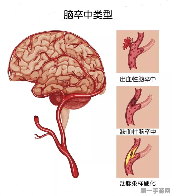 中老年人慢性病疼痛问题严峻！超六成受影响，关爱健康刻不容缓💪