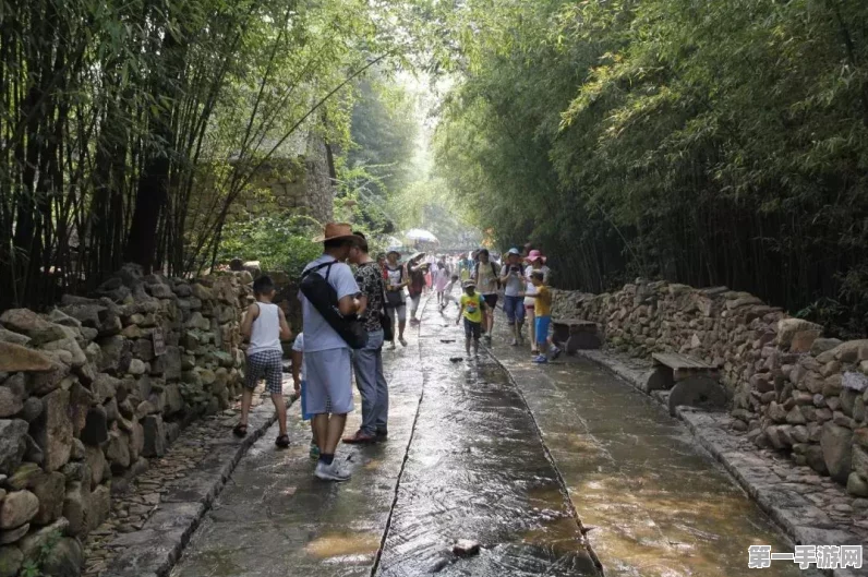 烟雨江湖，蜀南米粉支线大揭秘，味蕾与江湖的双重奇遇🍜🗡️