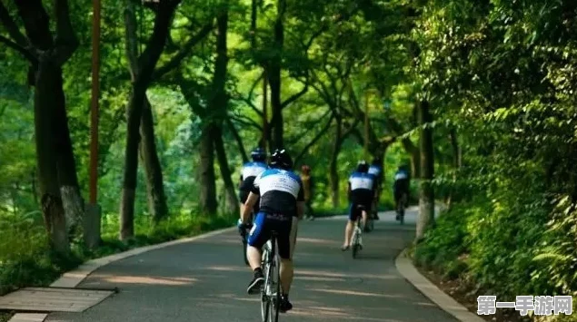 杭州周末共享单车骑行盛宴，揭秘美团公布的最美路线🚴‍♂️✨