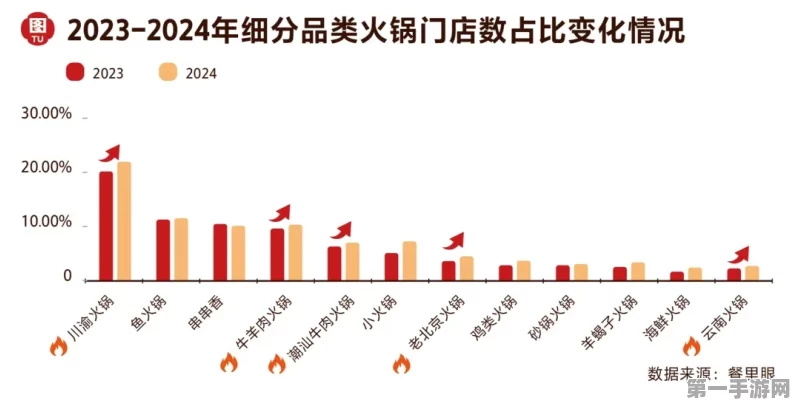 2024火锅行业新风尚，口味多元质价比为王🍲🚀