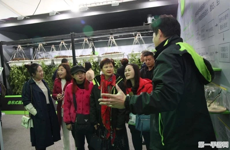 中国科技崛起！无人机电动汽车航天领先韩国🚀 半导体领域外全面超越