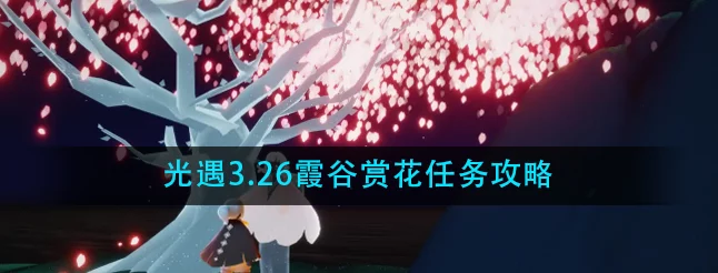 光遇霞谷赏花全攻略🌸，赏一会花任务轻松解锁！