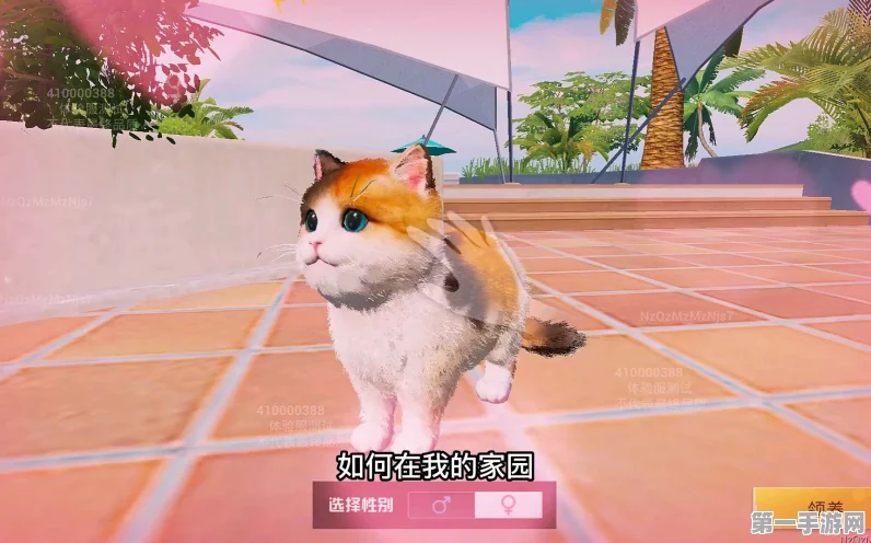 和平精英萌喵橘座全揭秘，猫咪奇遇攻略大放送🐱