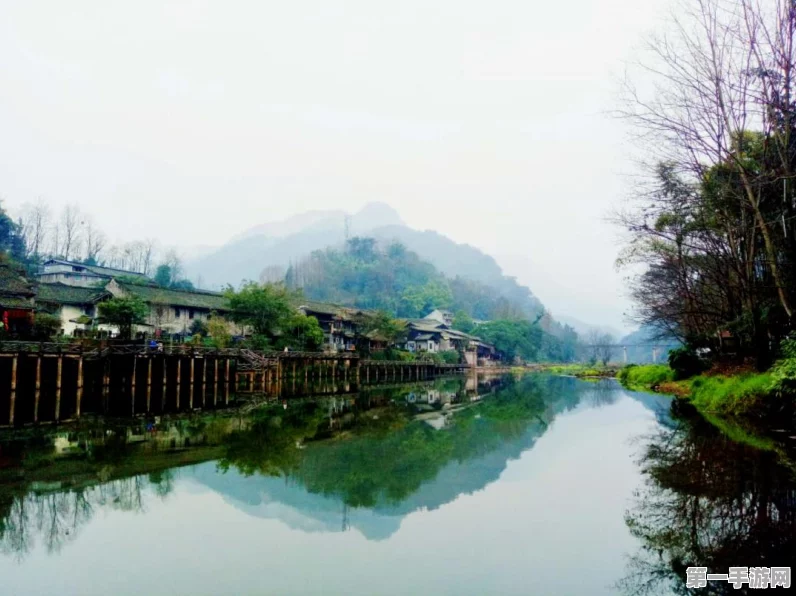 烟雨江湖，粽叶石使用攻略大揭秘🔍