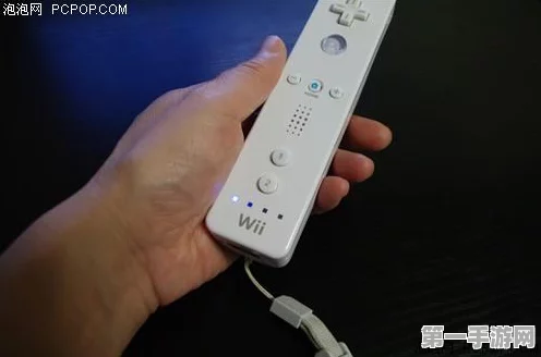 Wii模拟器手柄设置全攻略🎮