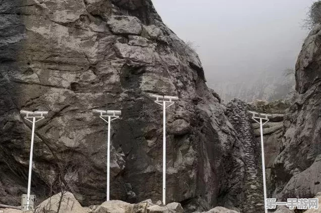 西部无尽挑战必胜秘籍！植物大战僵尸2高手攻略🌵💥