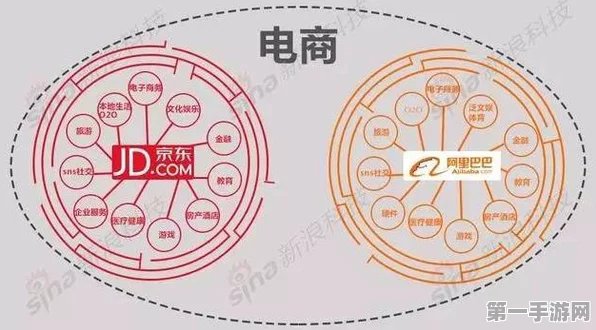 阿里京东联手改写电商版图，双11战国时代落幕？🛒