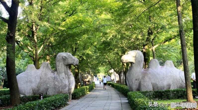 地下城堡3皇陵地宫全攻略，轻松通关不是梦🏰