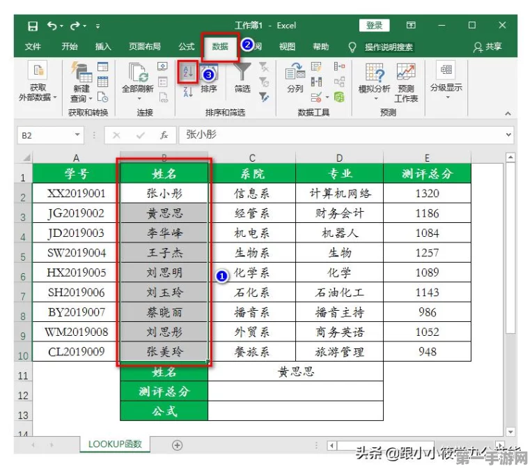 VLOOKUP函数秘籍，轻松掌握数据查找技巧🔍