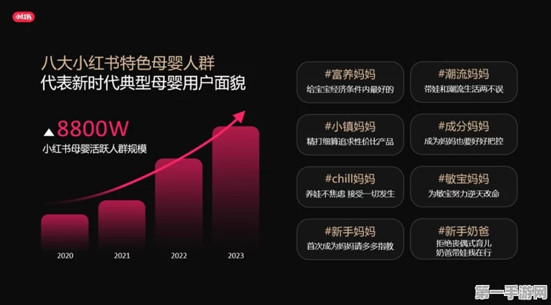 95后00后领航双11，小红书电商掘金秘籍揭秘💸