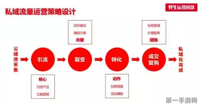 百度秒哒能否实现创意变现梦想？💸