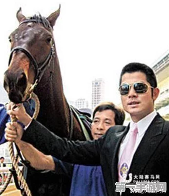 我的世界，马匹繁殖全攻略，打造梦幻马场不是梦🐎