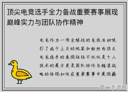 九科信息手游大赛，红专精神闪耀，决战巅峰🏆