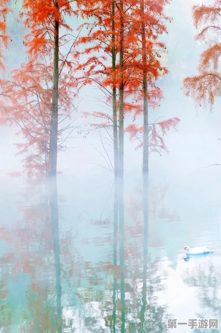 不思议迷宫山海秘境顶尖组合揭秘🔍