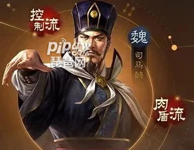 三国志战略版S2司马懿最强阵容揭秘🔍