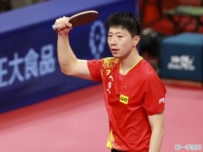 樊振东退赛谜团重重，国际乒联深入调查能否水落石出？🏓