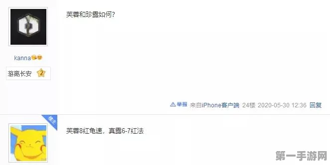 梦幻西游珍露童子深度剖析，技能搭配与战斗策略全揭秘🔍