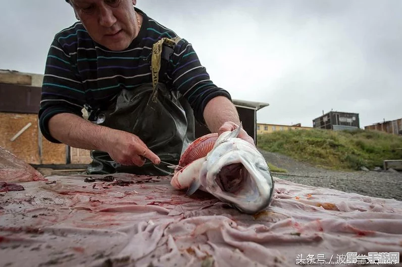 鲑鱼博物馆化妆包藏玄机，开膛鲑鱼惊现其中🐟😲