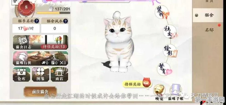 天涯明月刀手游，猫咪领养全攻略🐱，轻松抱回萌宠秘籍！