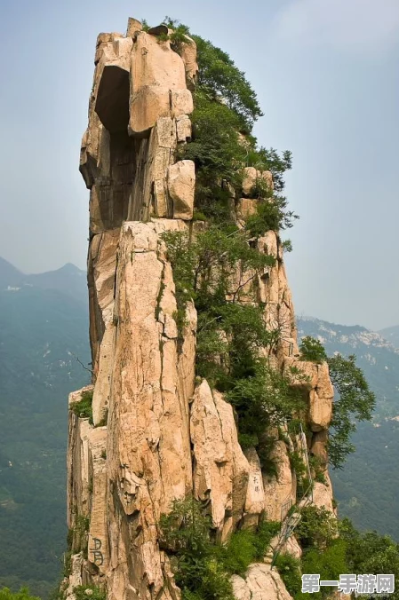 江南百景图竹林探险攻略，南边路线最优选🌿