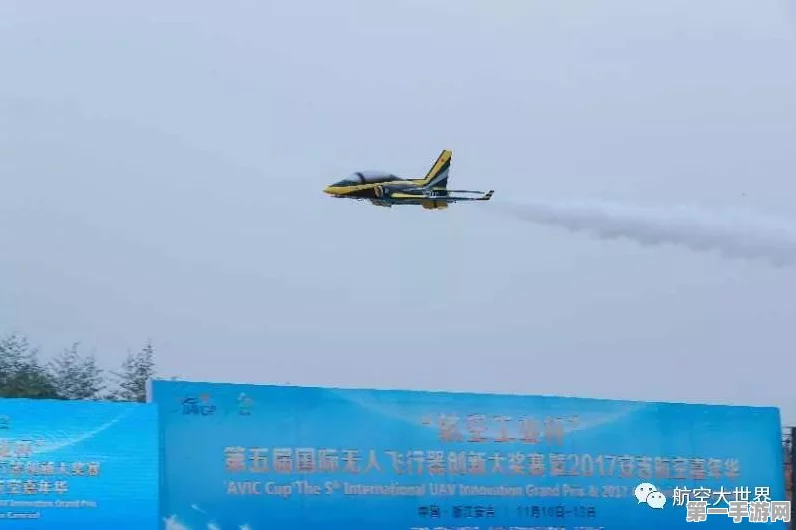 第九届国际无人飞行器大赛圆满落幕，创新科技闪耀天际🚀