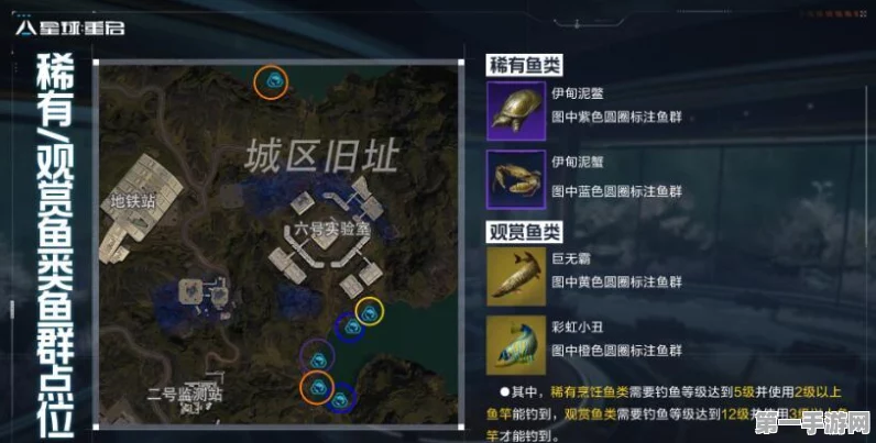 星球重启伊甸城挑战攻略，点亮星星点灯全解析💡