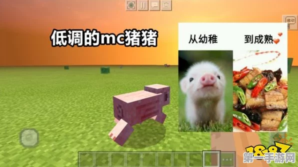 🐷我的世界萌宠猪大揭秘，特性与互动全攻略🎮