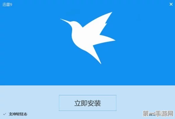 提升迅雷下载速度秘籍大公开！🚀