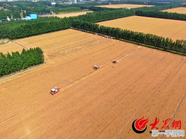 滨州邹平数智农业引领三夏新风尚，丰收画卷徐徐展开🌾